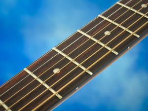 Farida M-2NS – fretboard