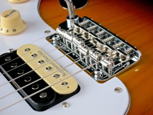 tokai-tst-50-fs-two-post-vibrato