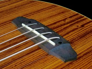 esp-ltd-tl-4z-bridge