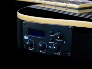 esp-ltd-tl-6n-b-band