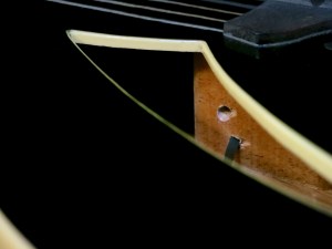 esp-ltd-tl-6n-centre-block