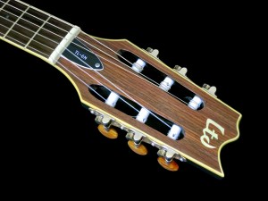 esp-ltd-tl-6n-headstock
