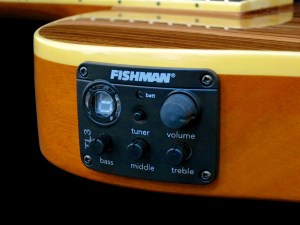 esp-ltd-tl-6z-fishman-tl3