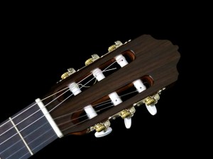 esteve-4st-headstock