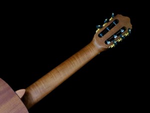 kantare-vivace-c-flame-maple-neck