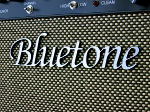 bluetone-fried-eye-22-logo