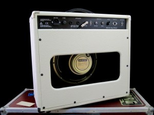 blutetone-fried-eye-22-reverb-back